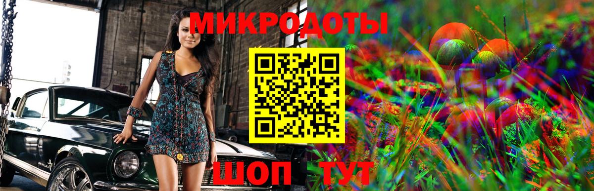 Псилоцибиновые грибы мицелий Новочеркасск