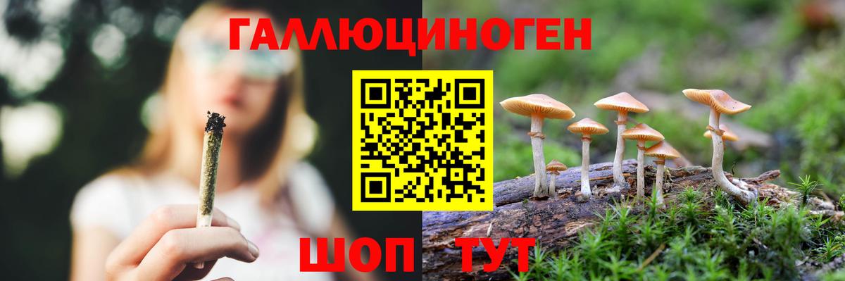 Новочеркасск  Псилоцибиновые грибы ЛСД  Вход с VPN 